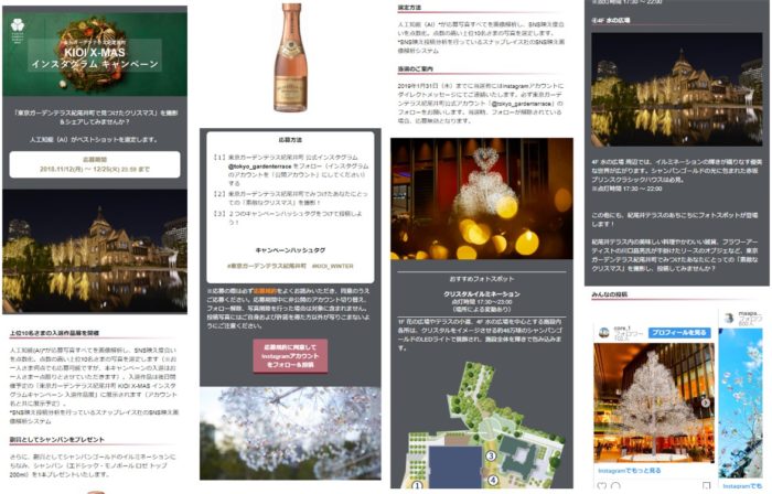 スナップレイスのインスタグラムキャンペーン